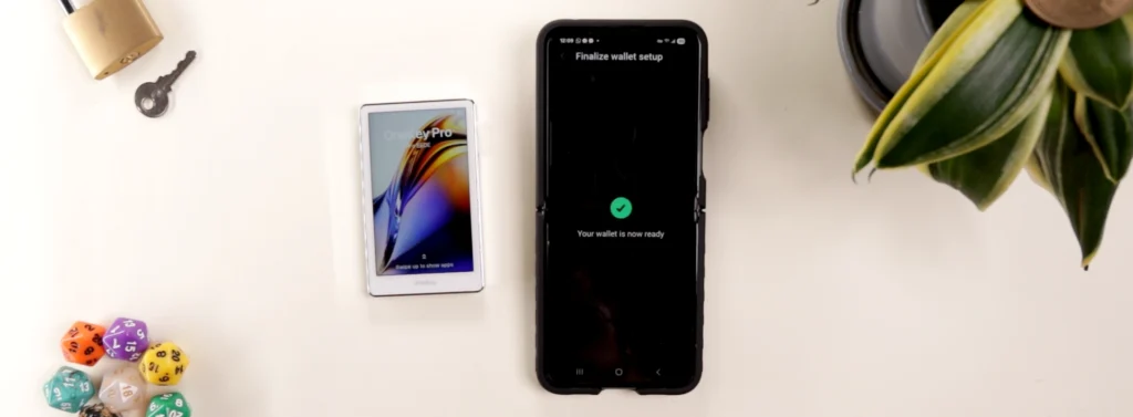 onekey pro wallet ready